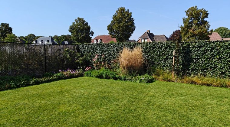 OnePlus 11 review foto totaal