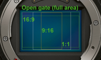 Open Gate_1a
