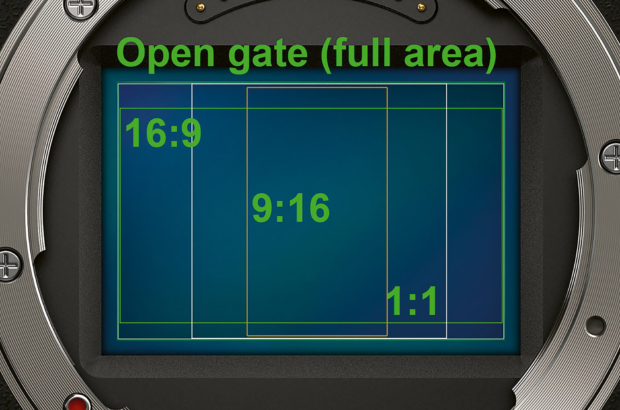 Open Gate_1a