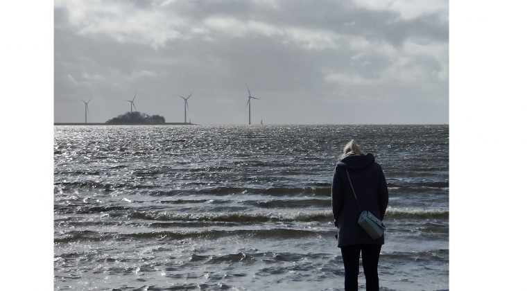 Oppo FInd X3 Pro – hoofdcamera 5 (1)