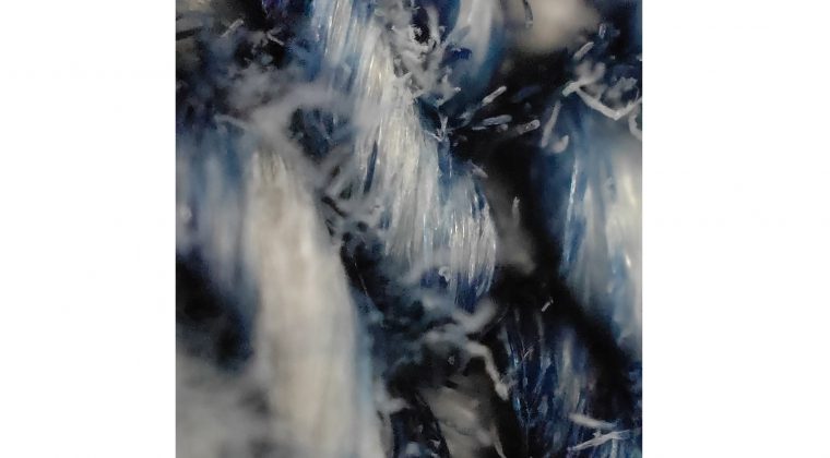 Oppo FInd X3 Pro – microscoopcamera 1