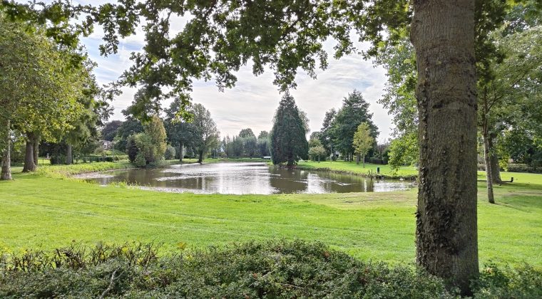 Oppo Reno 10 Pro – voorbeeldfoto2