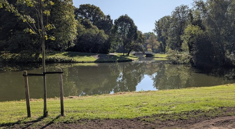 PXL_20240828_084732289