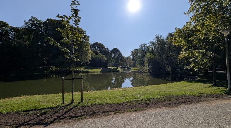 PXL_20240828_084737554