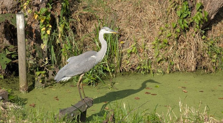 PXL_20240901_080815550