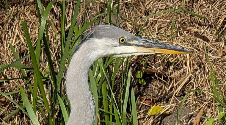 PXL_20240901_080827606