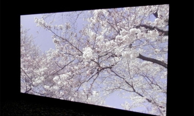 Panasonic-8K-plasma-TV