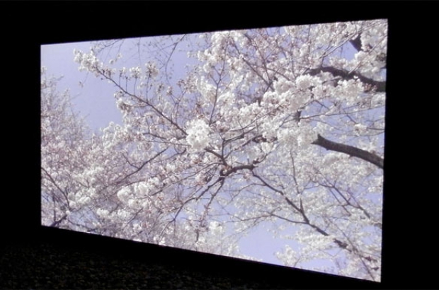 Panasonic-8K-plasma-TV