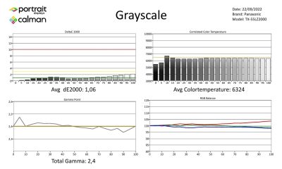 Panasonic-TX55LZ2000-metingen SDR-page-001