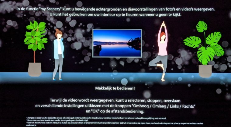 Panasonic-TX65JZW2004-Scenery1