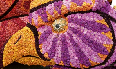 Parade13