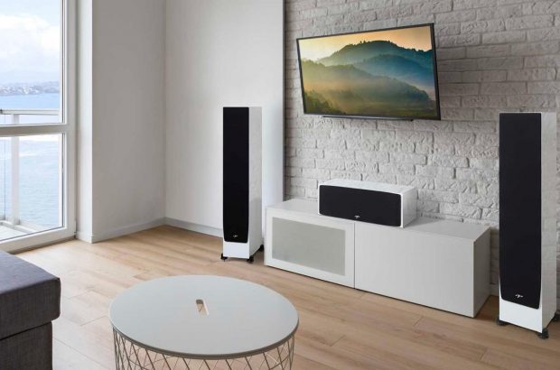 Paradigm-Monitor-SE-review