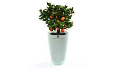 Parrot Pot Bloempot