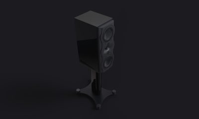 Perlisten R5m_Stand_P2