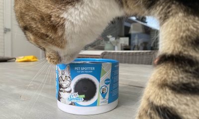 Pet Spotter review 1