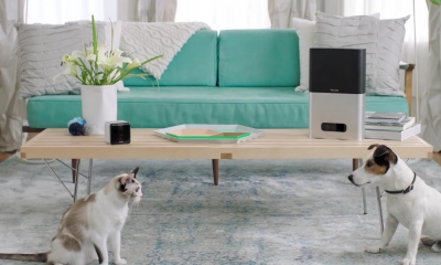 Petcube Play Bites