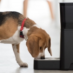 Petnet Smartfeeder 1