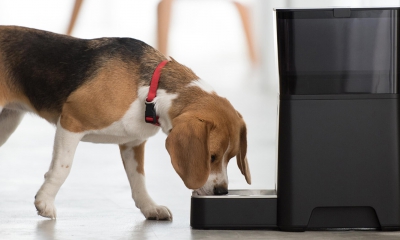 Petnet Smartfeeder 1