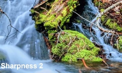 Philips-65OLED936-sharpness-on