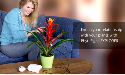Phytl Signs