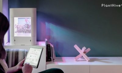 PlantHive Smart Garden