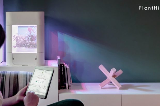 PlantHive Smart Garden