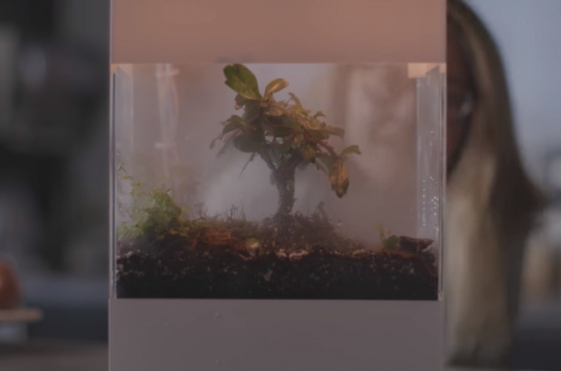 Project Oasis