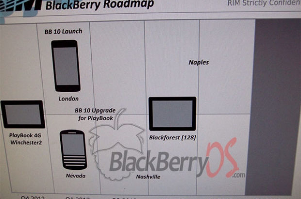 RIM-roadmap