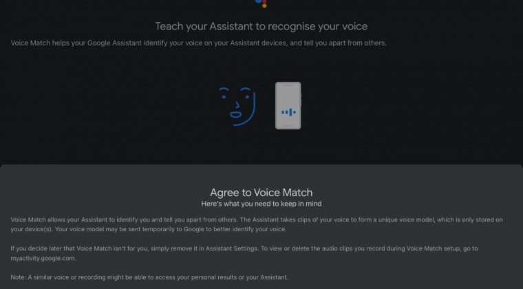 Review Beosound Level app google 2