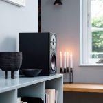 Review Dali Oberon 1C 8