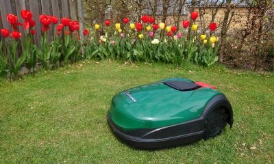 Robomow RK1000 tuin