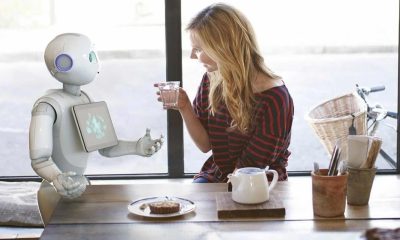 Robot smarthome