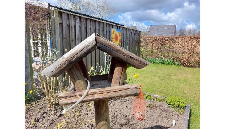 Samsung Galaxy A52 5G – voorbeeldfoto 3 (1)