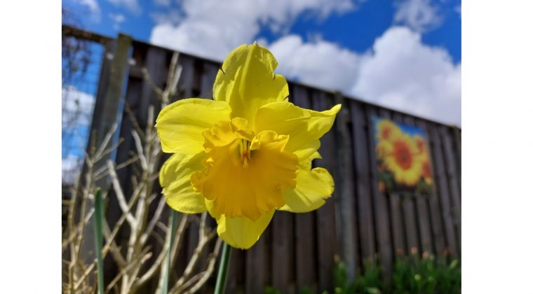 Samsung Galaxy A52 5G – voorbeeldfoto 4