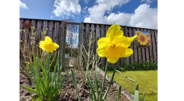 Samsung Galaxy A52 5G – voorbeeldfoto 5 (1)