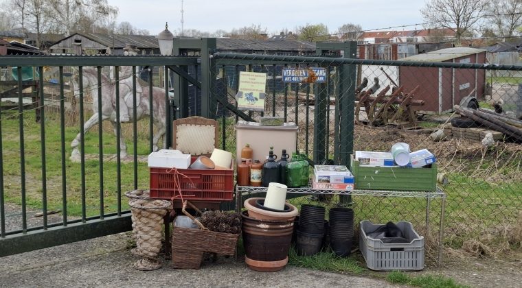 Samsung Galaxy A55 – voorbeeldfoto 2