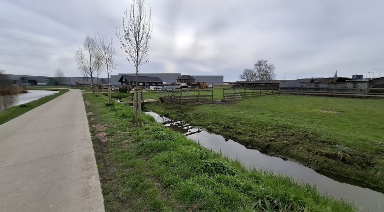 Samsung Galaxy A55 – voorbeeldfoto 4