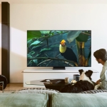 Samsung-QE65S95F-lifestyle