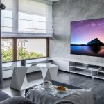 Samsung-QSE55S95D-lifestyle