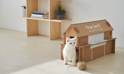 Samsung duurzame verpakking tv