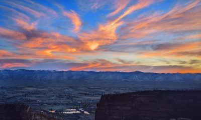 Samsung_QE65Q95B_beeld2