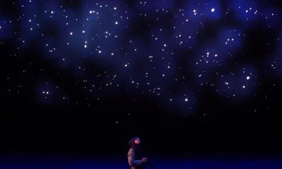 Samsung_QE65Q95B_localdim1