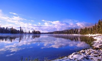 Samsung_QE65S95B-beeld1