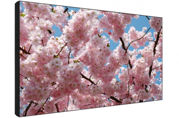 Sharp-PN-V601-monitor