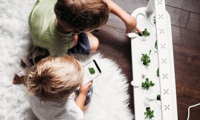 Slimme tuin voor in huis