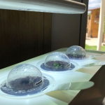 Smart Garden review 4