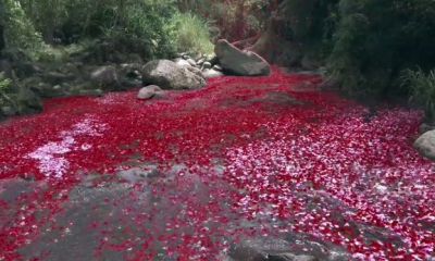 Sony-4K-commercial