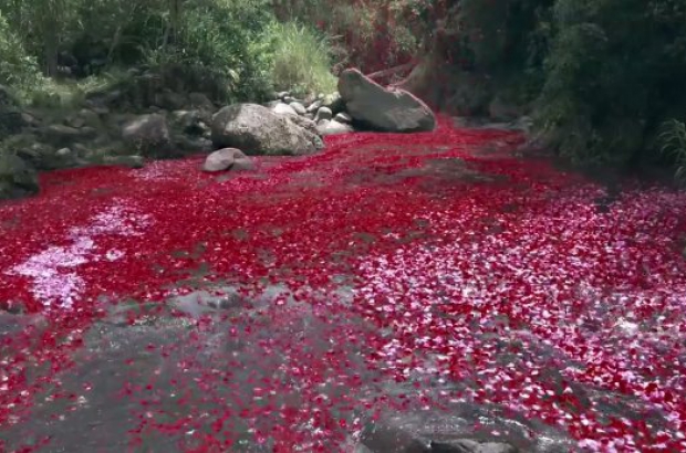 Sony-4K-commercial