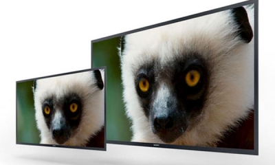 Sony-4k-oled-monitor