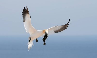 Sony A6700_© Gustav Kiburg_3